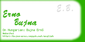 erno bujna business card
