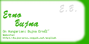 erno bujna business card